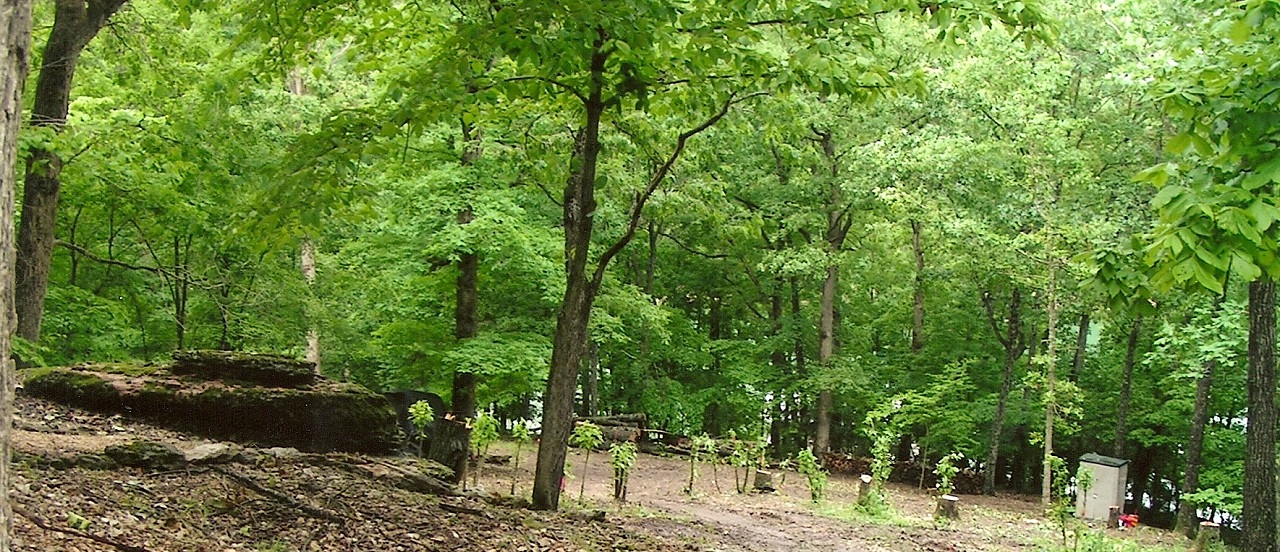 Wooded lot